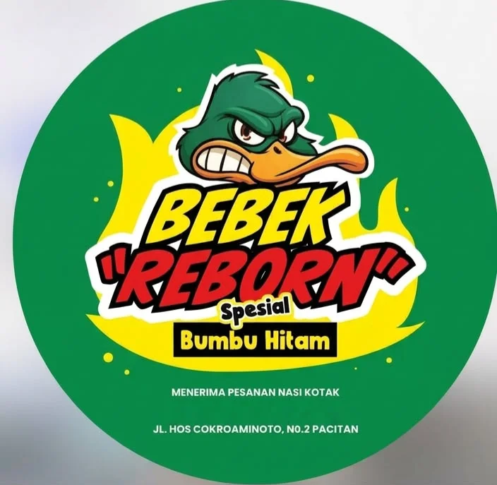 BEBEK REBORN