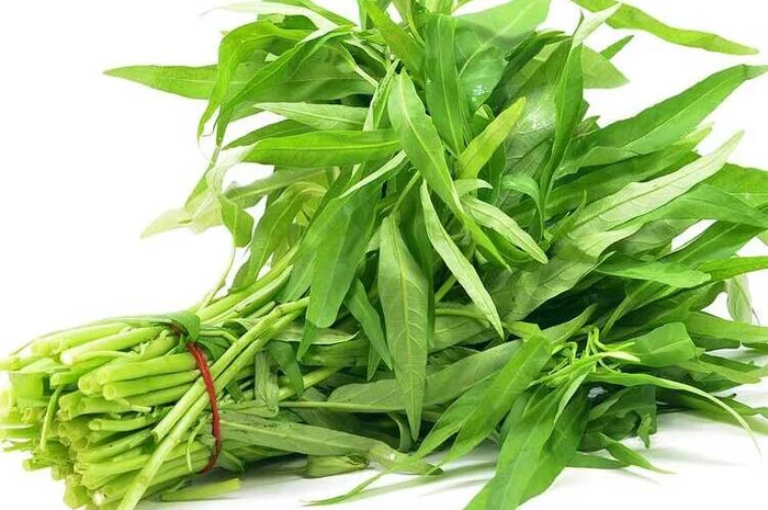 Kangkung