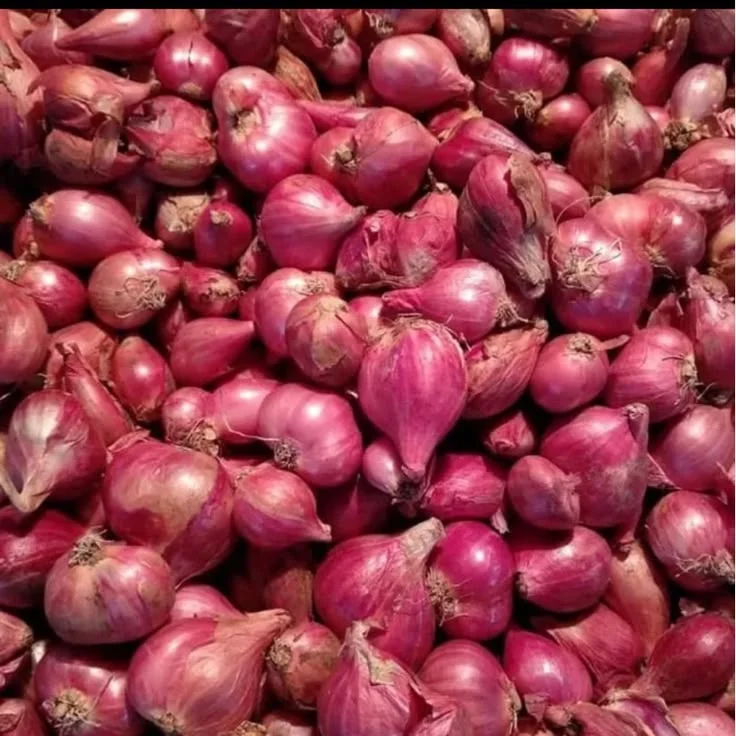 Bawang Merah
