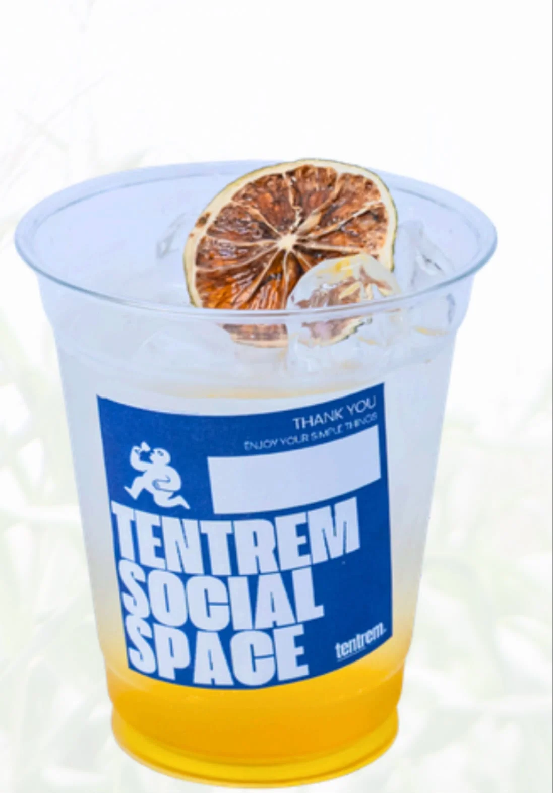 Honey Lemon Soda TENTREM